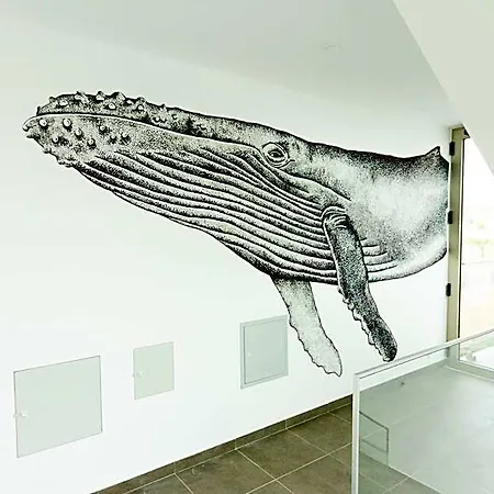 Surf Aparthotel 4*